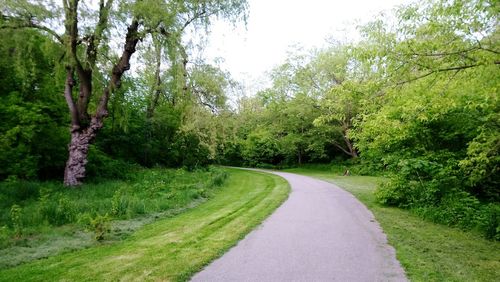 Road amidst trees in forest