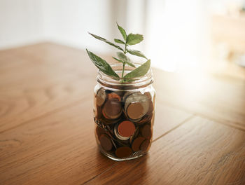 Close-up of jar on table