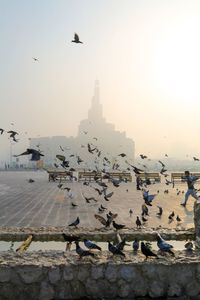 Birds flying against silhouette qatar islamic culture center during sunset