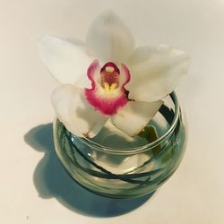 High angle view of flower in glass on table
