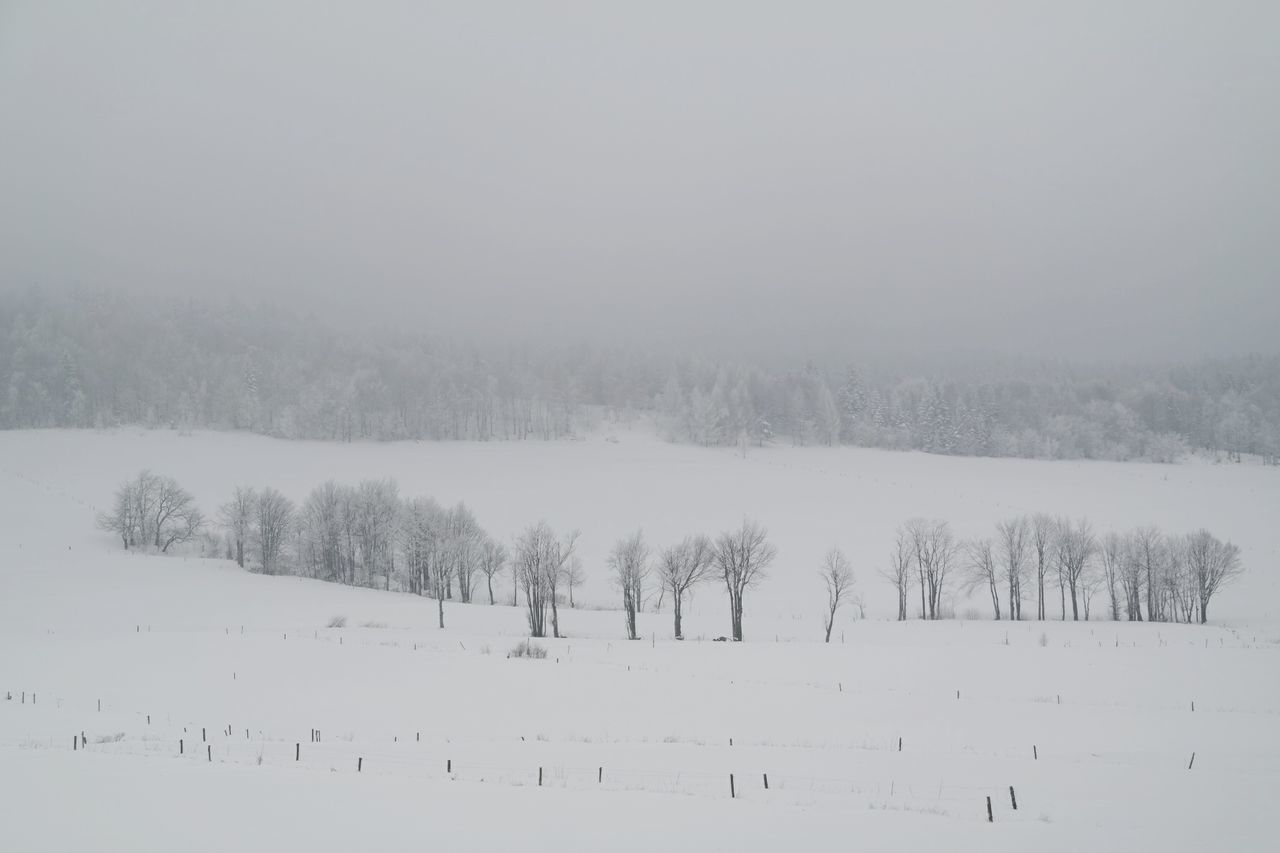 cold temperature, winter, snow, nature, weather, beauty in nature, tranquility, landscape, scenics, white color, tranquil scene, tree, non-urban scene, outdoors, no people, day, fog, sky