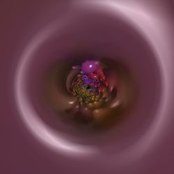 Directly above shot of pink flower in container