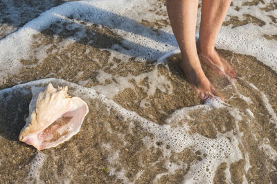 Low section of person standing on beach