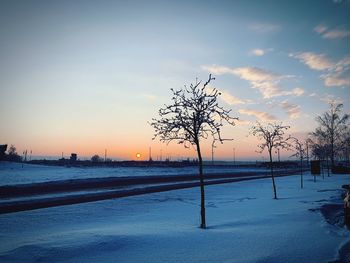 Silhouette trees on snow covered land against sky during sunset