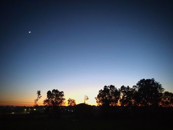 Silhouette trees on field against clear sky at sunset