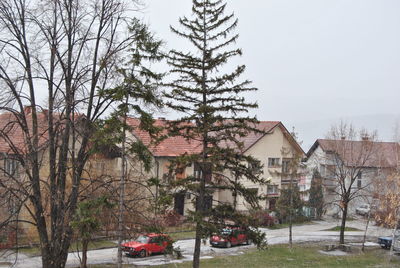 Houses and trees by building against sky during winter