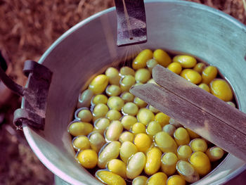 High angle view of fruits in container