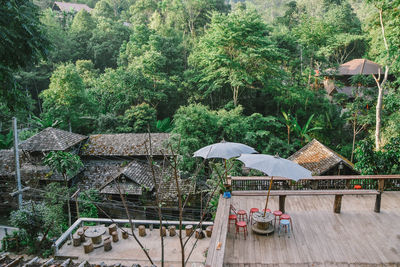 Plants and trees by house in forest during rainy season