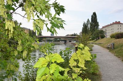 Arch bridge over river in city against sky