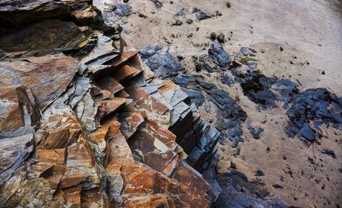 Close-up of stone wall
