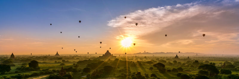 Flock of birds flying against dramatic sky