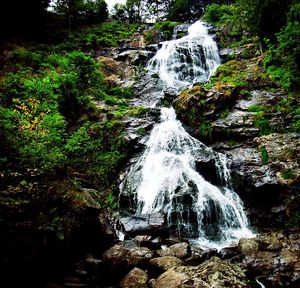 Waterfall in forest