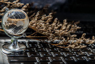 Close-up of wine glasses on table