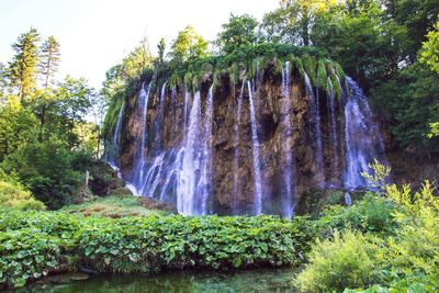 Scenic view of waterfall and green trees