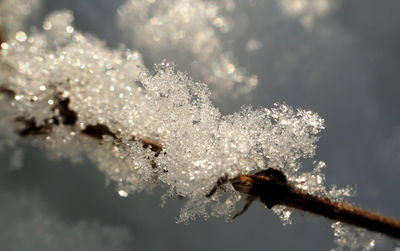 Close-up of water drops on spider web