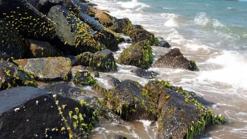 Scenic view of sea waves