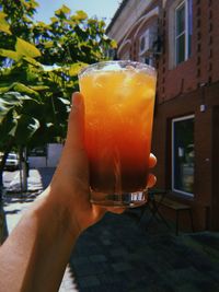 Close-up of hand holding drink