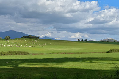 Scenic view of golf course against sky