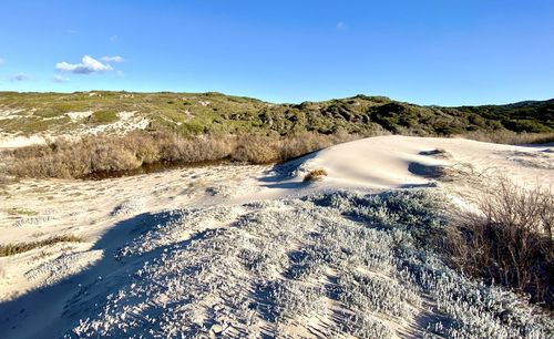 Sand from the sea