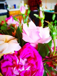 Close-up of pink flowering plant