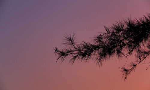 Low angle view of silhouette trees against sky during sunset