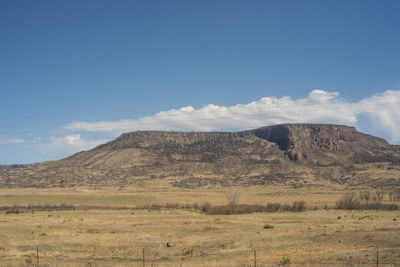 Scenic view of landscape against blue sky