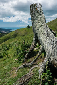 Scenic view of land against sky