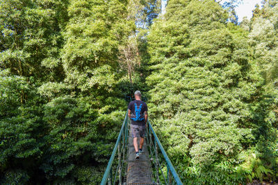 Rear view of man walking on footbridge in forest