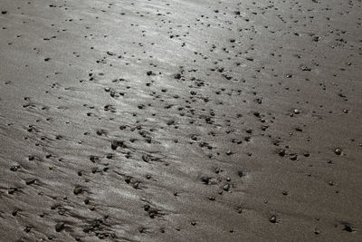 High angle view of footprints on sand
