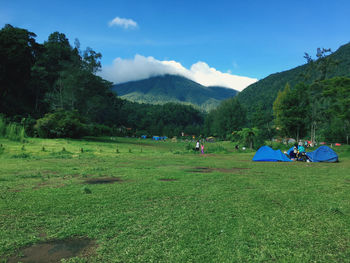 Scenic view of field against sky