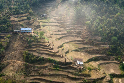 High angle view of agricultural field