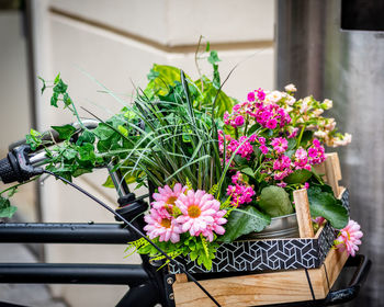 Street photo of flowers basket on a bicycle, street photography of freshly looking flowers