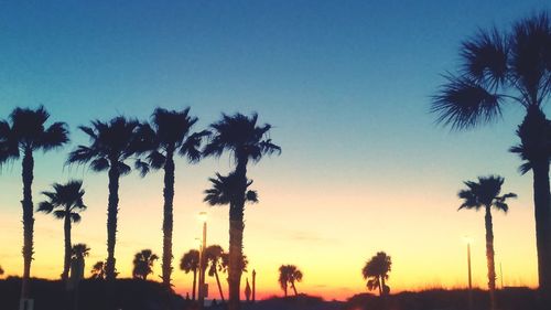 Silhouette palm trees against sky during sunset