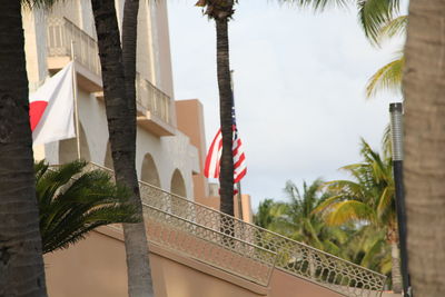 Low angle view of flags hanging on building