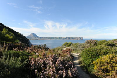 Hiking trail through heather and horse on cap prim, with montgo mountain on horizon, javea, spain 