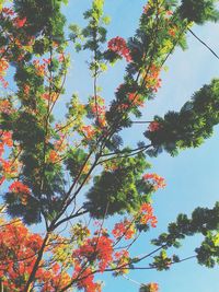 Low angle view of tree against sky