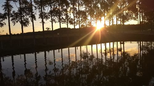 Silhouette trees by lake against sky during sunset