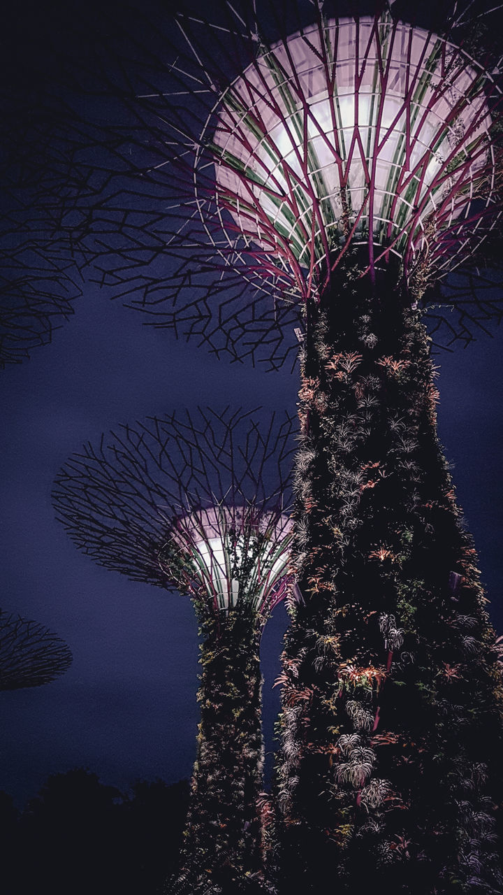 LOW ANGLE VIEW OF TREE AGAINST SKY