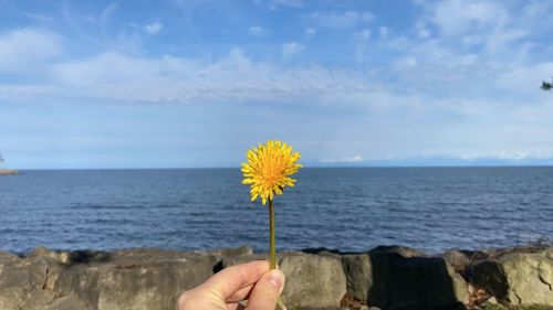 Person hand holding yellow sea against cloudy sky