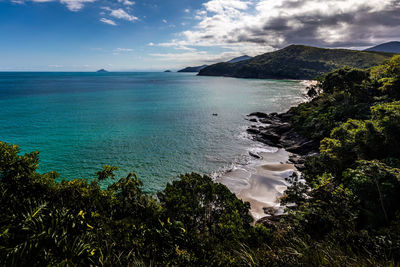 View of the brazilian coast line with forest and small beach