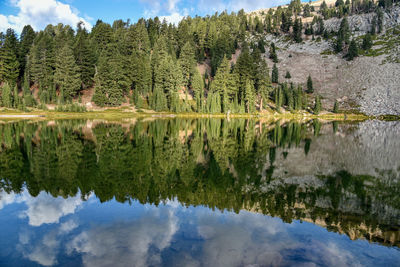 Panoramic view of lake and trees against sky