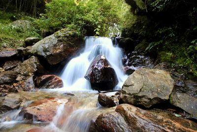 View of waterfall in forest