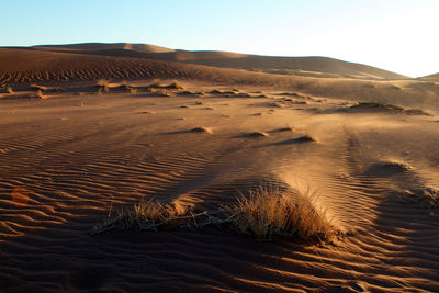 Scenic view of desert against sky