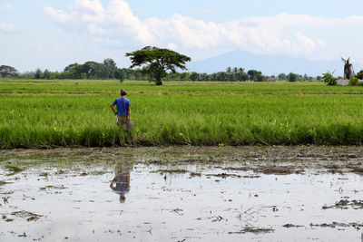 Rear view of man working at farm against sky