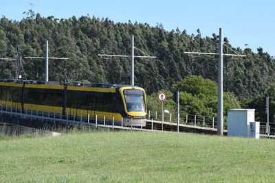 Train by trees on field against sky