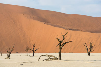 Scenic view of desert against sky