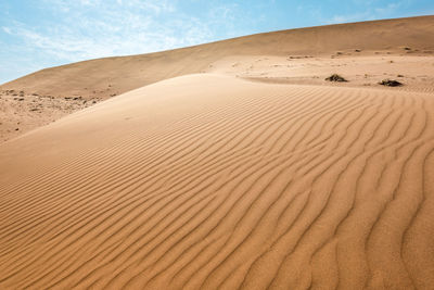 Sand dune in desert against sky