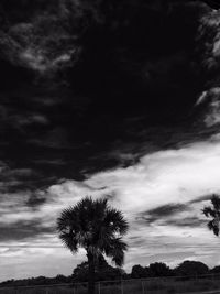 Low angle view of trees against cloudy sky