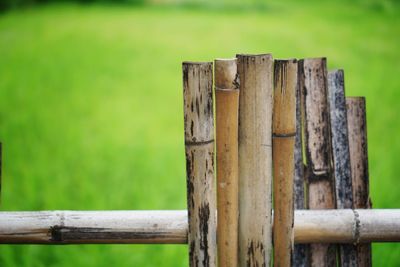 Close-up of wooden fence on field