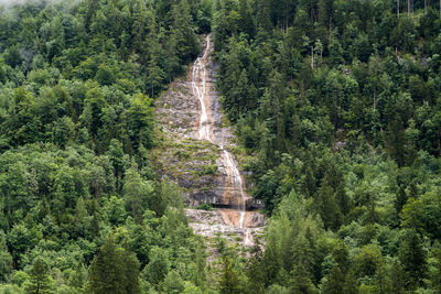 Scenic view of waterfall amidst trees in forest